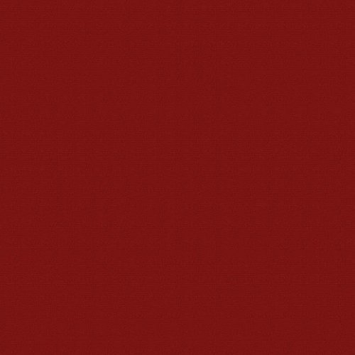 Venkovní látka Sunbrella Solids and Stripes - 3728 Paris Red