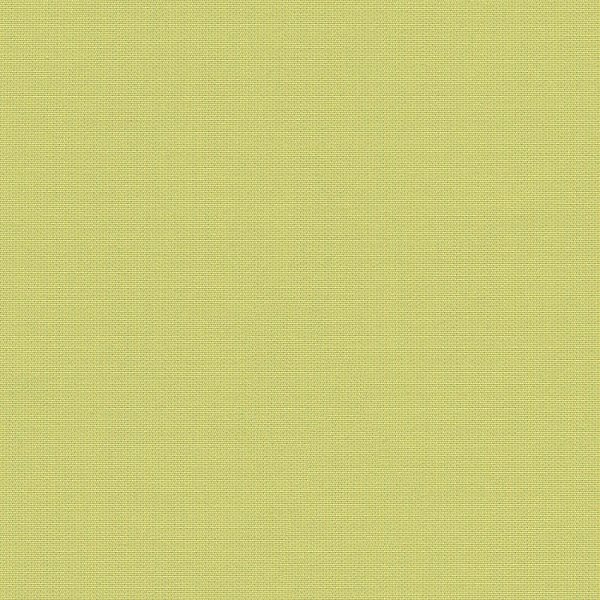 Venkovní látka Sunbrella Solids and Stripes - 3936 Lime běžný metr